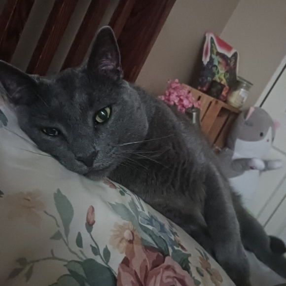 🩷💙 Like to be notified when I'm LIVE 🩷💙 - Picture 7 of 15